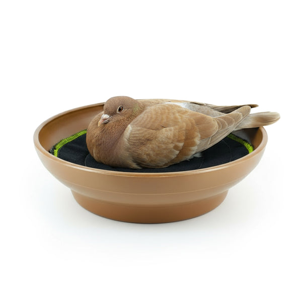 Мътилка за гълъби NB02