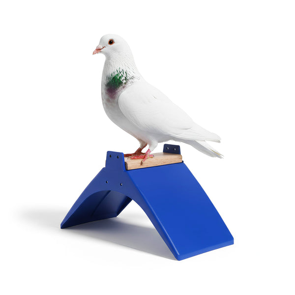 Кацалка за гълъби, Комплект от 10 броя (ДЪРВО)