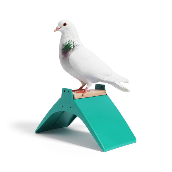 Кацалка за гълъби, Комплект от 10 броя