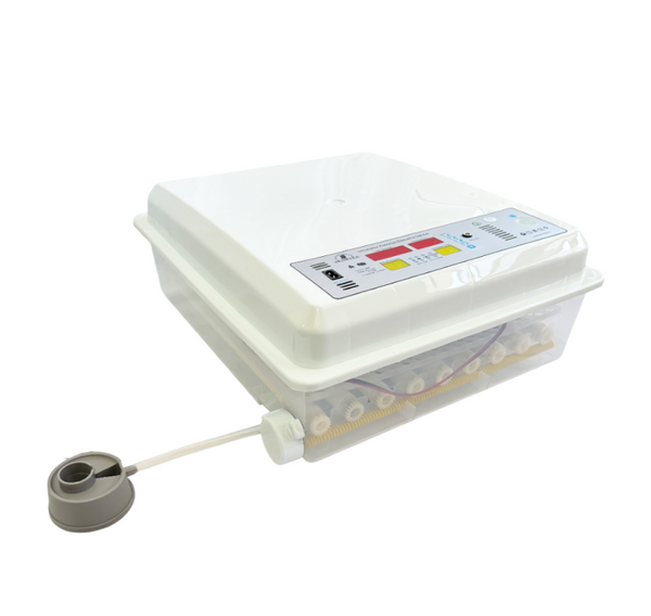 Инкубатор за яйца MS-64 (DC 12V / AC 220V)