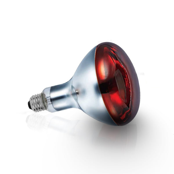 Инфрачервена лампа (частично тъмночервена) - 300 Вт