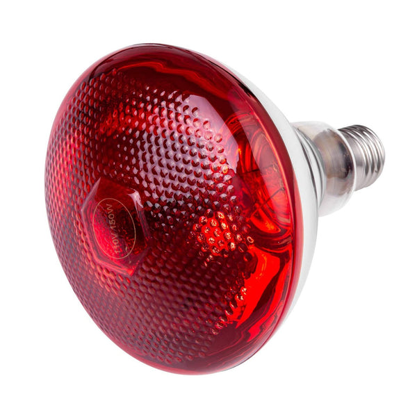 Инфрачервена крушка, дебело стъкло – 100 Вт