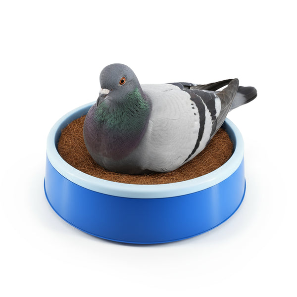 Мътилка за гълъби NB01